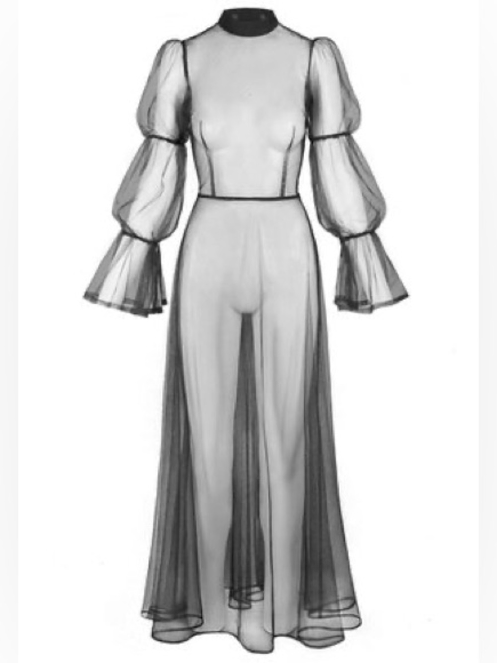 Deandri Sheer Macbeth Maxi Dress - Picture 5 of 5